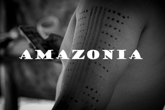 MONOGRAMA PRESENTS “AMAZONIA,” AN NFT ART & SOCIAL IMPACT PROJECT IN THE AMAZON RAINFOREST
